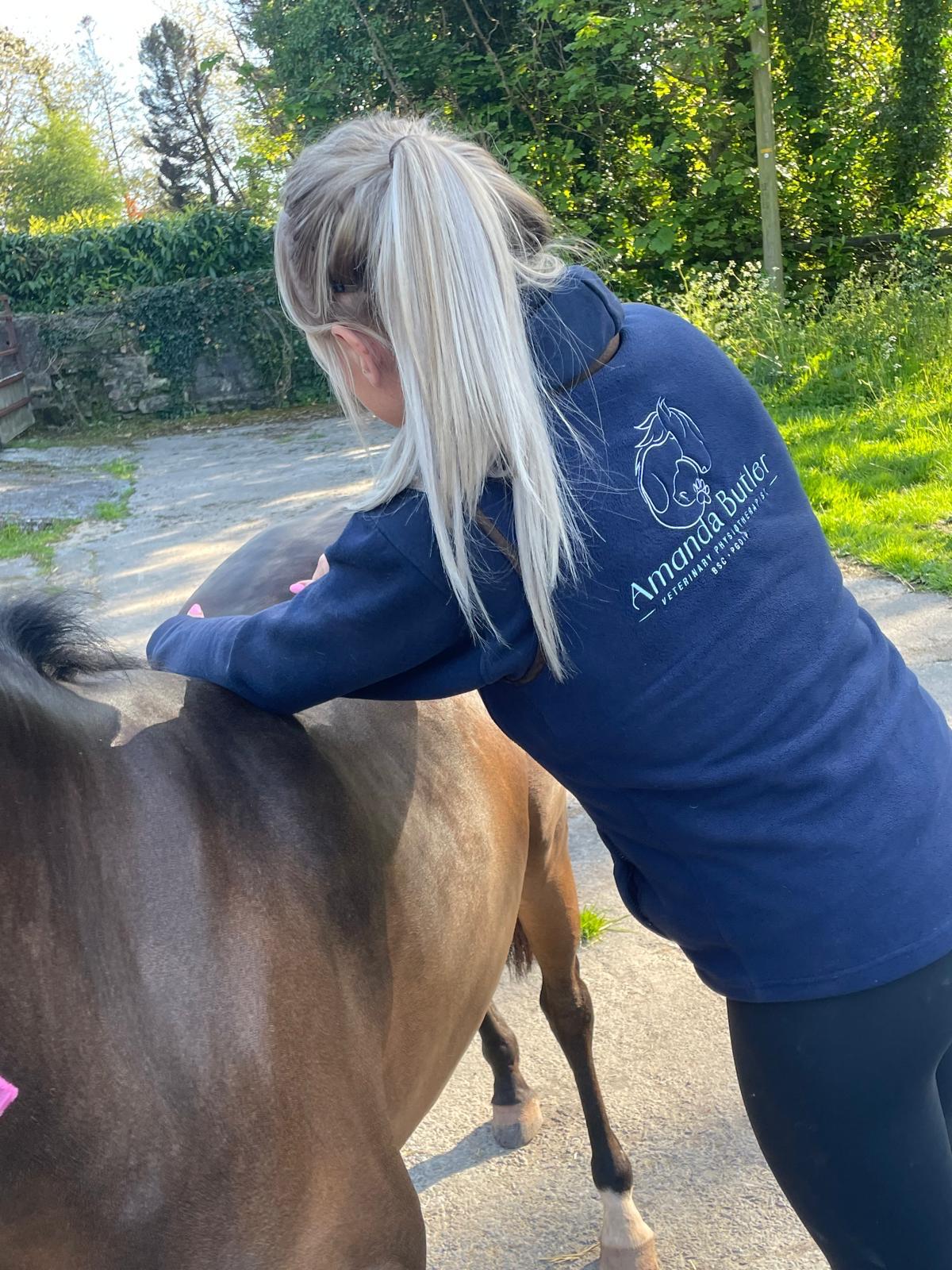 Horse receiving physiotherapy